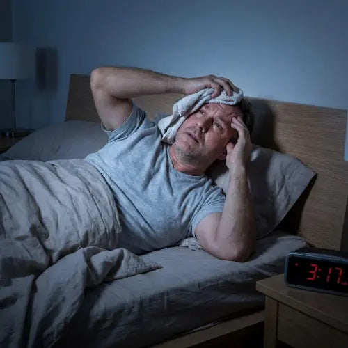 Quiet Bed Fan for Night Sweats